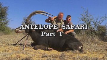 Antelope-Safari—Part-1