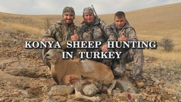 Konya-Sheep-Hunting-in-Turkey