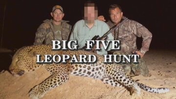 Big-Five—Leopard-hunt